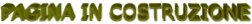 PAGINA IN COSTRUZIONE